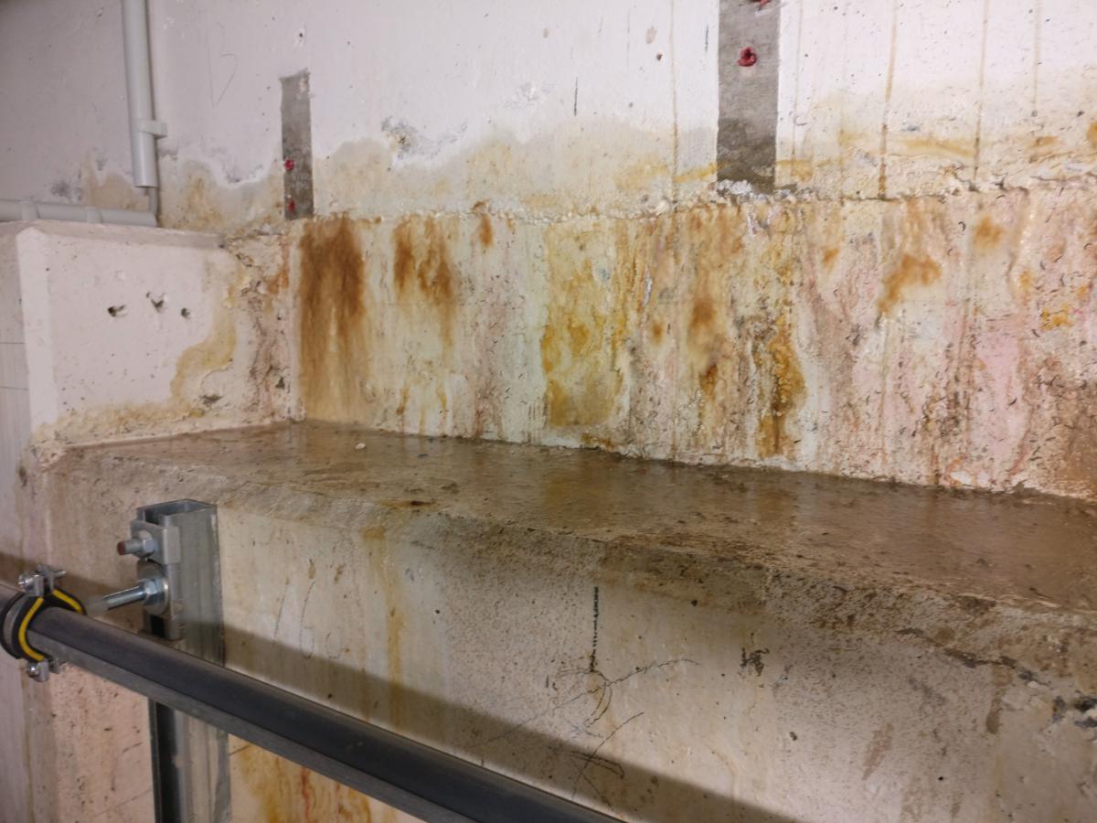 Durchfeuchtete Betonwand mit Rostfahnen – typisches Schadensbild aus der Praxis der Sanitec GmbH